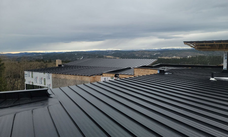 steel roofing